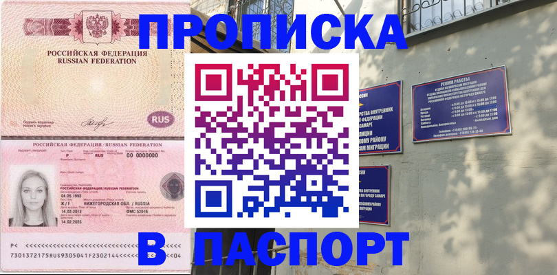 прописка в Североморске